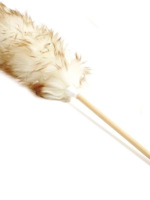 24-Inch Pure Lambs Wool Duster with Wood Handle